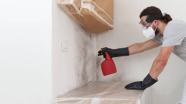 Professional Mold Testing technician working in Woodstock, VA